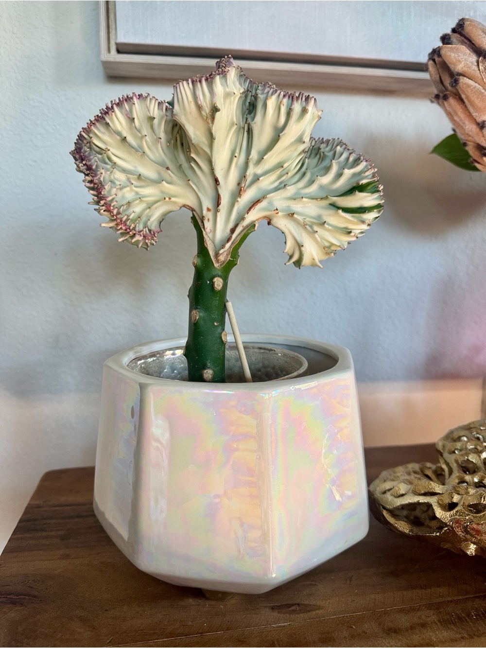 Iridescent White Ceramic Faceted Planter - 7”